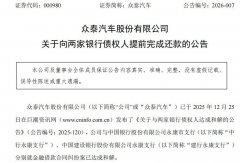 众泰汽车也只能往这个方