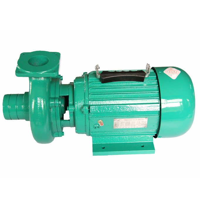 ”顺着王豹手指的方向